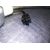 Elevalunas Trasero Izquierdo para Nissan Navara Pick-Up (D40M)