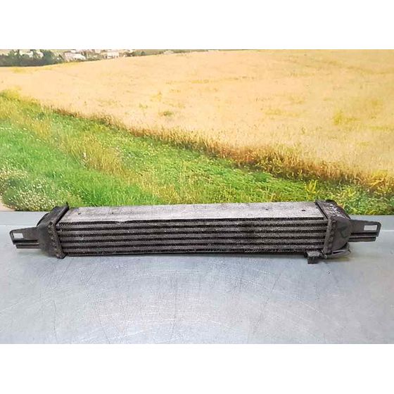 Intercooler Para Peugeot Bipper
