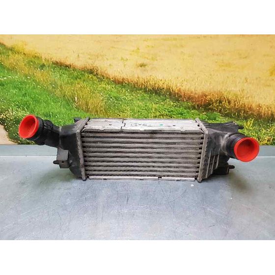 Intercooler Para Citroen C5 Berlina