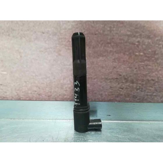 Bobina Encendido para Fiat Bravo (198)