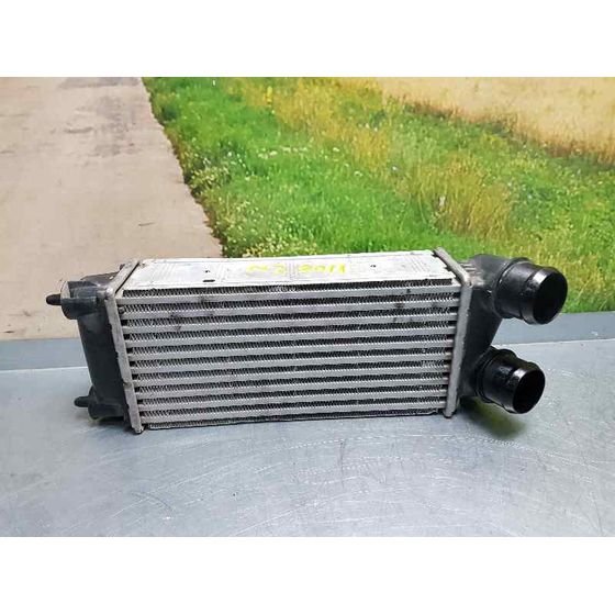 Intercooler Para Citroen Berlingo Station Wagon