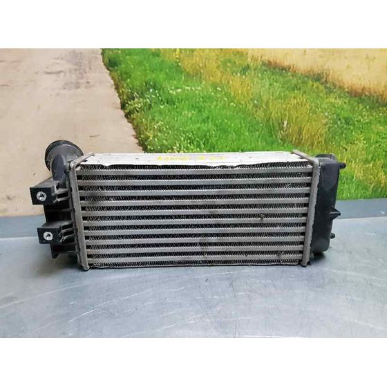 Intercooler Para Citroen Berlingo Station Wagon