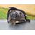 Faro Izquierdo para Renault Kangoo