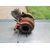 Turbocompresor para Renault Kangoo