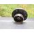 Ventilador Viscoso Motor para Audi A4 Berlina (B5)