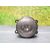 Faro Antiniebla Derecho Para Renault Megane Ii Classic Berlina