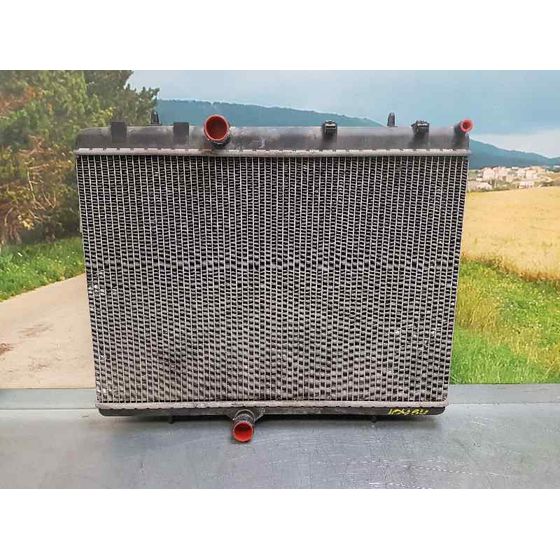 Radiador Agua Para Peugeot 307 Berlina