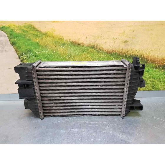 Intercooler para Opel Meriva B