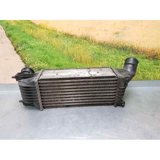 Intercooler Para Peugeot 407