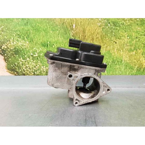 Valvula Egr para Volkswagen Passat Berlina (3C2)