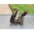 Bomba Direccion Para Peugeot 306 Berlina 3/4/5 Puertas
