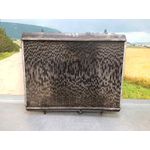 Radiador Agua Para Citroen C4 Berlina
