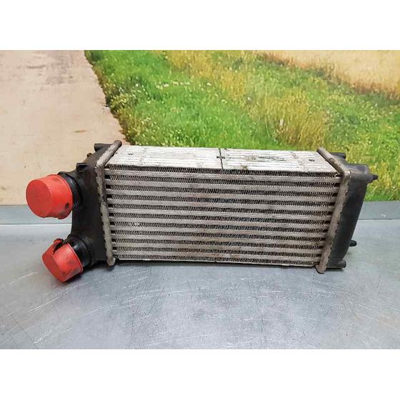 Intercooler Para Citroen C4 Berlina