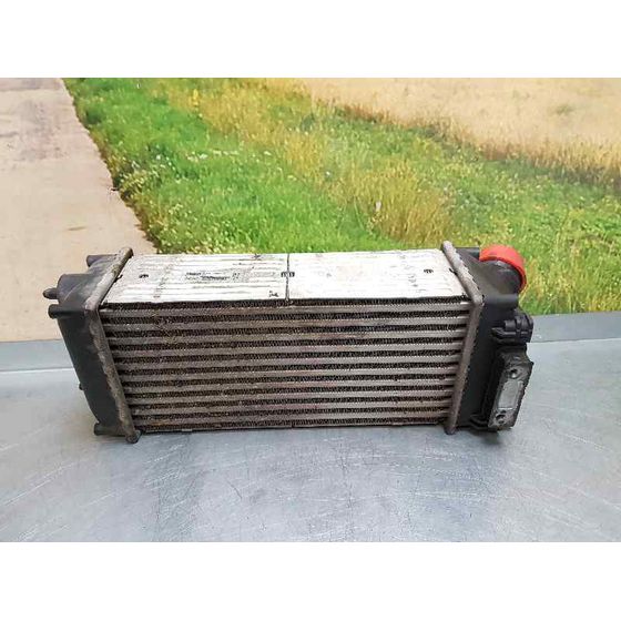Intercooler Para Citroen C4 Berlina