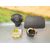 Kit Airbag Para Toyota Rav 4