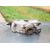 Faro Derecho Para Fiat Punto Berlina
