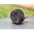Alternador Para Alfa Romeo Giulietta
