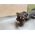 Transmision Central Para Ssangyong Actyon