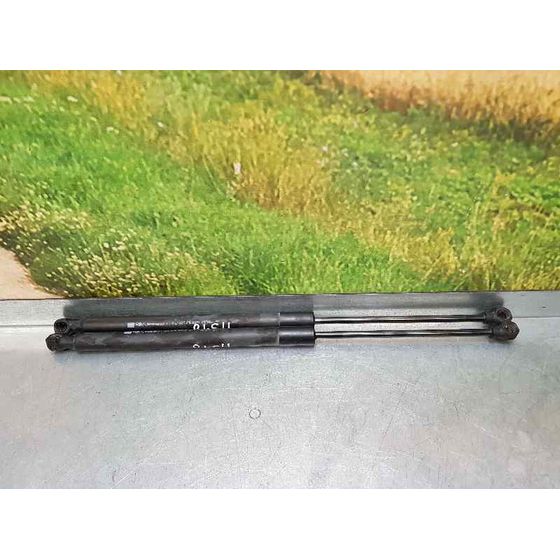 Amortiguadores Maletero / Porton Para Renault Clio Iv