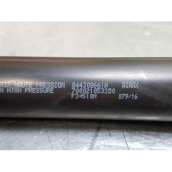 Amortiguadores Maletero / Porton Para Renault Clio Iv