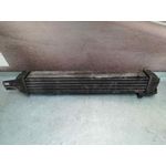 Intercooler Para Peugeot Bipper