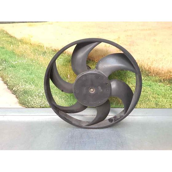 Electroventilador Para Peugeot 207 Cc