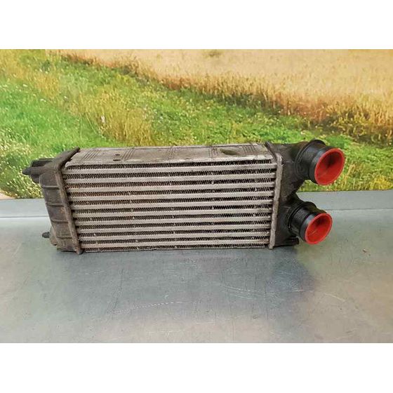 Intercooler Para Peugeot Partner Tepee
