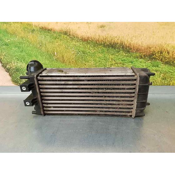 Intercooler Para Peugeot Partner Tepee
