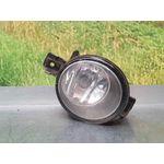 Faro Antiniebla Derecho Para Nissan Qashqai