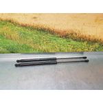 Amortiguadores Maletero / Porton Para Citroen C1