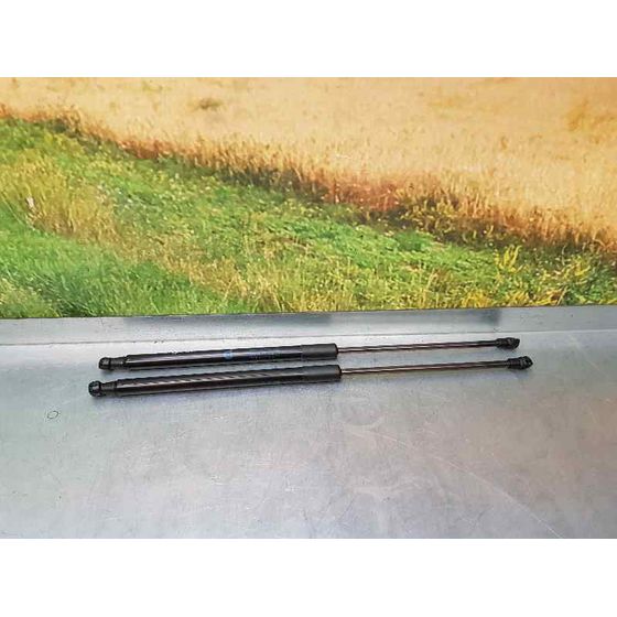 Amortiguadores Maletero / Porton Para Citroen C1