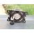 Faro Antiniebla Derecho Para Citroen C3
