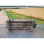 Intercooler Para Kia Carnival