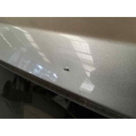 Porton Trasero Para Peugeot 1007