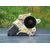 Motor Elevalunas Delantero Derecho Para Ford Focus Lim.