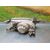 Faro Izquierdo Para Hyundai Accent