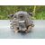 Faro Antiniebla Derecho Para Citroen C4 Berlina