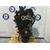 Motor Completo Para Ford Fiesta