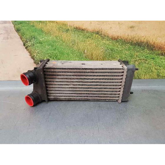 Intercooler Para Peugeot 307 Berlina