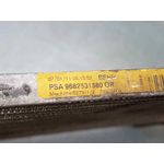 Condensador / Radiador Aire Acondicionado Para Citroen C4 Picasso