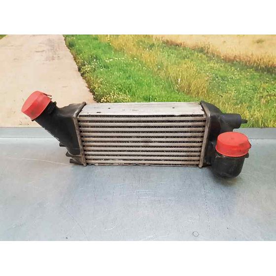 Intercooler Para Citroen C4 Picasso
