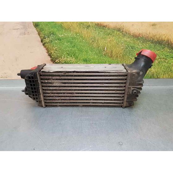 Intercooler Para Citroen C4 Picasso