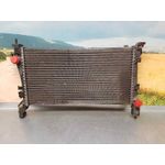 Radiador Agua Para Peugeot Bipper