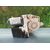 Motor Elevalunas Trasero Derecho Para Seat Leon