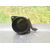 Caudalimetro Para Peugeot 307 Break / Sw