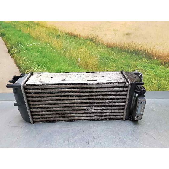 Intercooler Para Citroen C4 Berlina