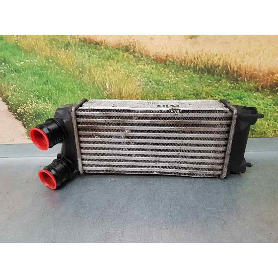 Intercooler Para Citroen Berlingo Cuadro