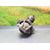 Motor Arranque Para Citroen Jumper Grossraumkasten