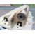 Kit Airbag Para Renault Megane Iii Berlina 5 P