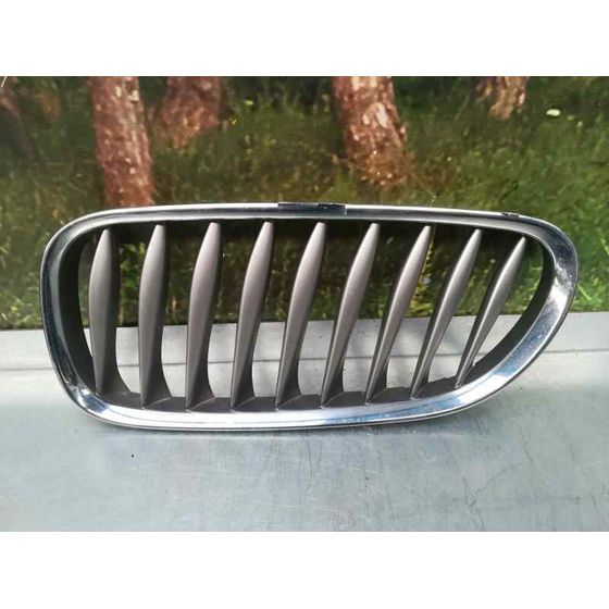 Rejilla Delantera Para Bmw Z4 Coupe